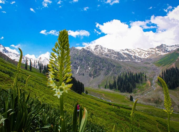 Kashmir Valley's top travel website